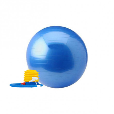 Koop Gym Ball - Focus Fitness - 55 cm - incl. voetpomp -