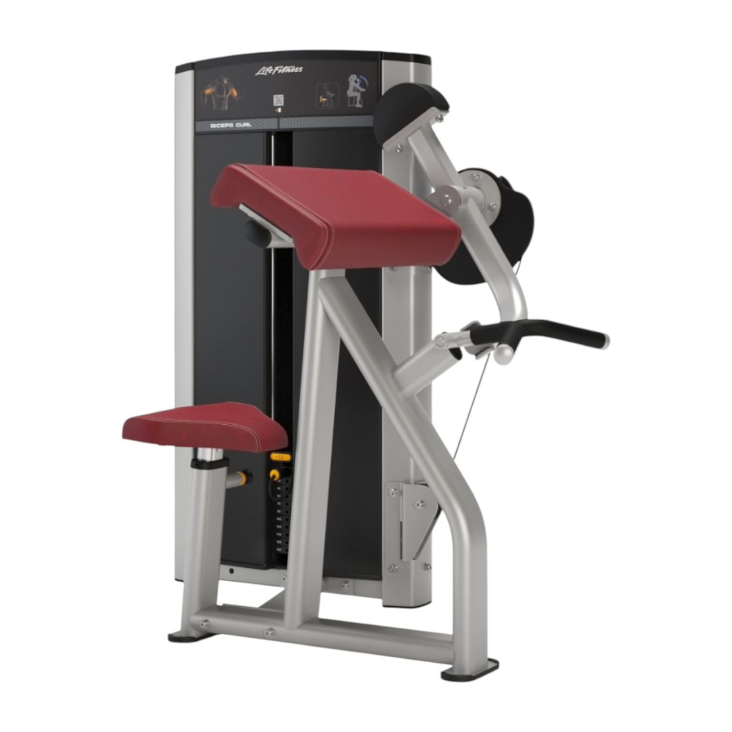 Aanbieding Life Fitness Axiom series biceps curl bij allesmetsport.nl
